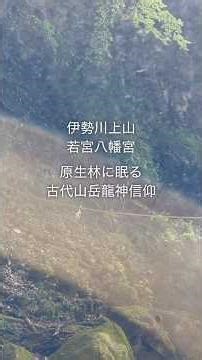 伊勢川上山 若宮八幡宮〜原生林に残る自然山岳龍神信仰〜