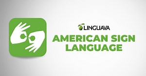 American Sign Language (ASL) | Interpreting Services | Linguava Interpreters