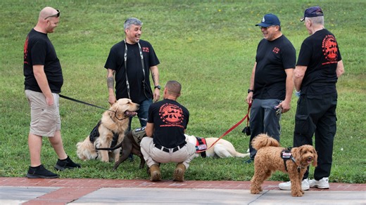 Semper Fi Service Dogs rescues shelter animals to help vets with PTSD, forms of trauma