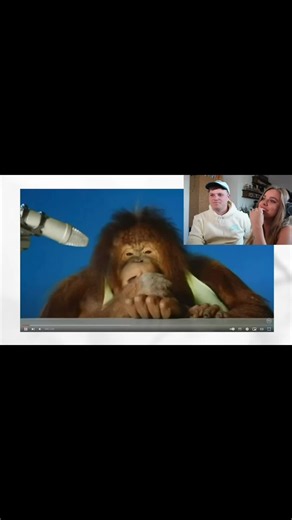 Danish Clips: Best Short Videos from Danmark