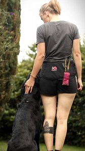 Today a video from @working_germanshepherd showing us an example how to use our Multifunctionbelt with our magnetizer🧲 which comes in two sizes! If you are using the belt or vest, you don’t need to use two magnets but only one if you keep it in the magnet slot. We only filmed it this way, to show you the magnet. ☺️ Instead of using a magnetic toy, you can use the magnetizer on anything you like (toy, leash or whatever you can think of). Super useful! Do you have our magnetizer already? How do y