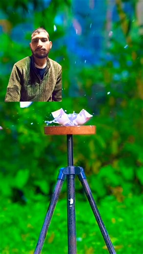 Diy Dateplam slingshots with two colour Balloone #bamboo #Diy #Slingshots