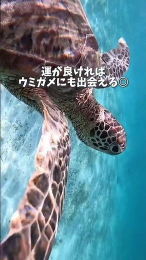 どこも絶景🌺✨ 宮古島のおすすめスポットを5つまとめたよ！ ぜひ参考にしてみてね〜！ # 宮古島 #宮古島#シュノーケル#沖縄デートスポット#宮古島旅行#沖縄旅行#記念日旅行#女子旅#ドローン