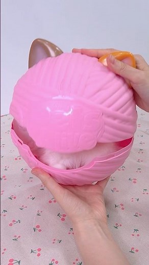 Adopting My Own Kitty 🐱 Satisfying ASMR #shorts