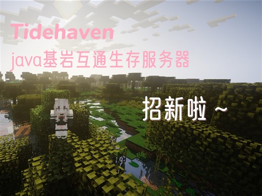 我的世界java版服务器