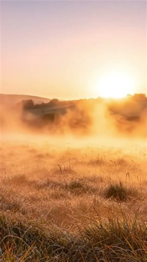 Daydream (Lovin' Spoonful cover)