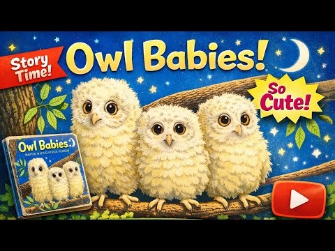 Owl Babies Read Aloud 🌙🦉 | Sweet Bedtime Story for Kids