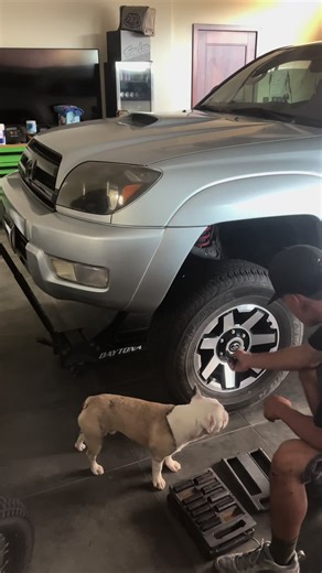 Enhance Your 4Runner with a Subwoofer Upgrade