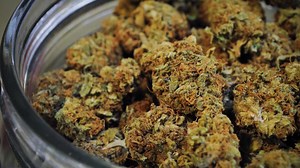 Colorado Restaurant Workers Head to Greener Pastures At Dispensaries