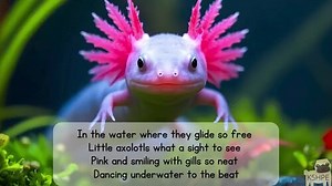 Music: Axolotl Groove Song, Classroom Songs Reading Lyrics Sing-along