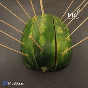 Creative watermelon ideas | MetDaan Creative