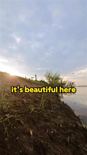 The grass is underwater?!?! 🙀 | Ros Adventure Cat