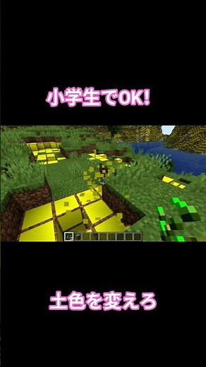 小学生でも簡単！マイクラの土を好きな色に変える方法 #マイクラ #Minecraft #リソースパック