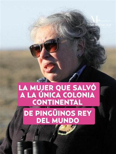 Una muestra de que la determinación individual puede salvar ecosistemas enteros🐧🇨🇱 Cecilia Durán Gafo asumió la defensa de estas aves frente al maltrato humano y creó un santuario único que hoy alberga a la única colonia de pingüinos rey en el continente ¡Una verdadera guardiana de la naturaleza!