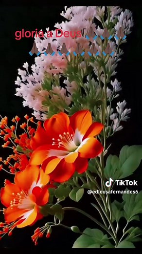 edleusafernandes6 no TikTok