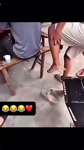 ComedY ShoW (@comedy.show185)’s videos with original sound - ComedY ShoW