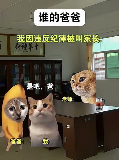 当你违法纪律被老师叫家长时#猫meme小剧场 #喵哥是萌新 #娱乐评论大赏 #搞笑