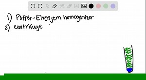 SOLVED:Describe a procedure for isolating a protein that is strongly embedded in the mitochondrial membrane.
