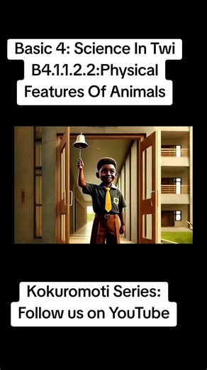 Understanding Physical Features of Animals in Twi