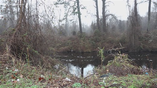 The Great Dismal Swamp could be the centerpiece of a new national Heritage Area