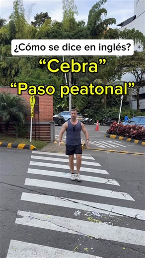 Connor Murphy on Instagram: "¿ “PASO PEATONAL” EN INGLÉS ? 🤔 ¿Sabías que en español decimos cebra o paso peatonal, pero en inglés no se dice “zebra” 😜? En este video te explico cuál es la forma CORRECTA de decirlo en inglés y por qué “crosswalk” es la opción más común, especialmente en Estados Unidos. También veremos otras formas que existen en inglés y en qué países se usan, para que evites traducciones literales y suenes más natural al hablar. #englishtips #inglés"