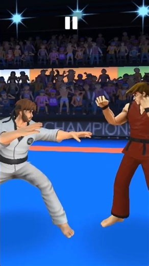 fighting fighter simulator