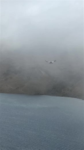 Silencio. Altura. Libertad. Ecuador no se mira, se siente. Y el cóndor es su estrella aquí #condor #cordillera #ecuador #quinanatours #naturaleza