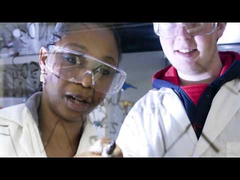 The Cognitive Principles of Effective Teaching Video 2 of 5