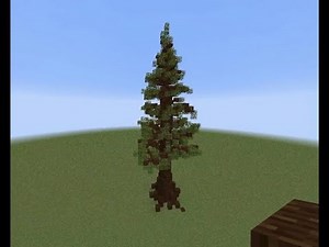 How to build HUGE spruce trees in Minecraft! Tutorial