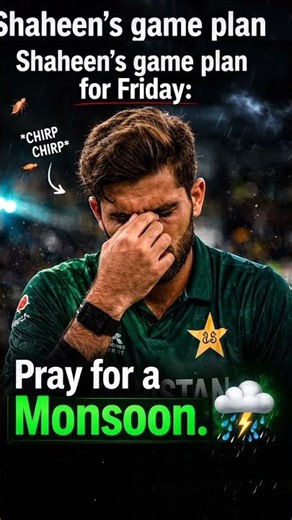 Pakistan Cricket Fans Right Now 😭 3-0 Loading... #cricket #memes