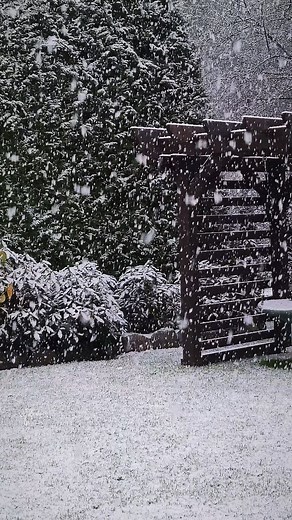 Esimene lumi 🌬❄️🌨 First snow 🌨❄️🌬 | Anneli Bürkland