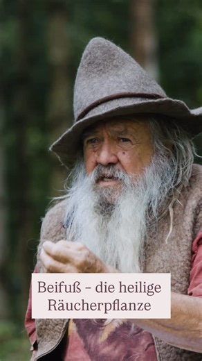 #3 Die Heilpflanzen – unsere älteste Medizin In dieser Folge sprechen wir über die wichtigsten Heilpflanzen und ihre Wirkung. PODCAST: „Die Sprache der Pflanzen – Gespräche mit Wolf-Dieter Storl“ Folge 3: Die Heilpflanzen – unsere älteste Medizin Jetzt anhören auf storl.de und überall, wo es Podcasts gibt 🌱🐺 #natur #podcast #heilpflanzen #räuchern | Wolf-Dieter Storl