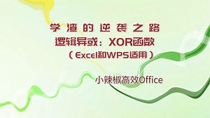 Excel XOR函数返回所有参数的逻辑异或 -函数公式教程Office及WPS