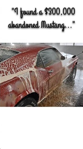 $300,000 Abandoned Mustang Restoration!