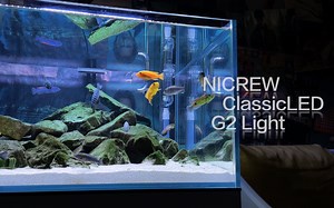 Nicrew ClassicLED G2 Light 鱼缸灯/三湖慈鲷灯/2K欣赏