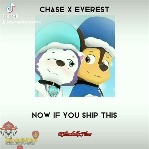 Rating PAW Patrol Ships || Part 1 || Read Descript