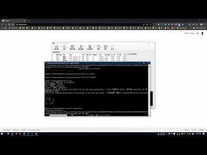 为Windows终端配置VPN