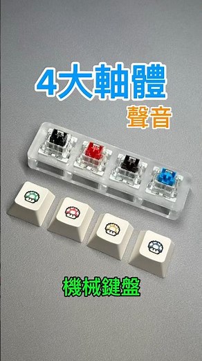 機械鍵盤 4大軸體 青軸 紅軸 茶軸 黑軸 段落軸 線性軸 聲音 軸體介紹 keyboard switch