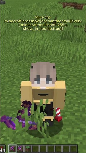 Insane Command For Crossbow in Minecraft #minecraft #shorts