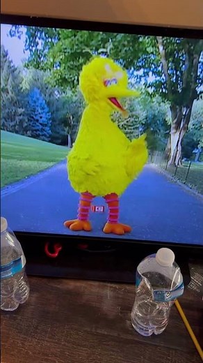 Sesame Street Theme Song Season 35