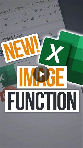 This Excel function just fixed one of the most annoying problems in spreadsheets. With the Excel IMAGE function you can now drop images from URLs directly into cells. Like writing a formula. No… | XelPlus | 11 comments