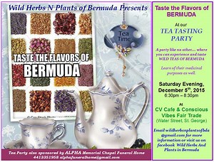 Tea Tasting Party Promises Flavours Of Bermuda - Bernews