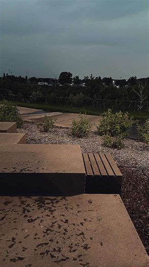 Something Fishy: A Closer Look