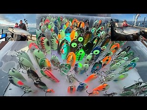 CHARTER CAPTAIN SALMON TIPS ON LAKE MICHIGAN FOR BIG KINGS