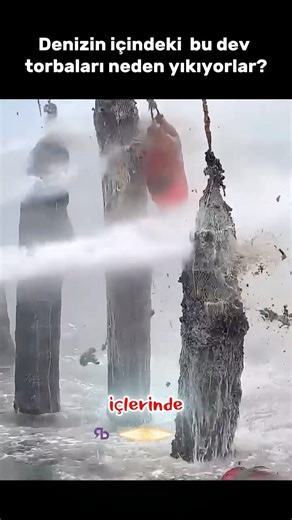 Denizde Asılı Bu Torbalar Ne İşe Yarıyor? Gerçek Çok İlginç. #shorts#bilgi #ocea #viralshorts