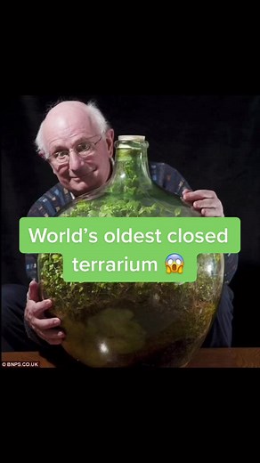 World’s Oldest Sealed Terrarium Revealed