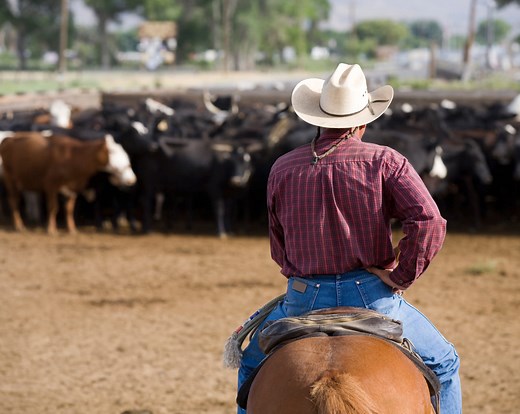 Livestock Safety - Safety Made Simple