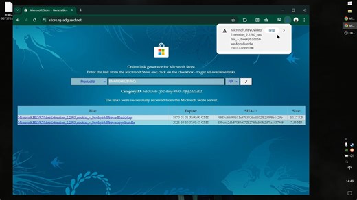 HEVCVideoExtension | HEVC视频扩展