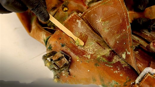 Extreme Mold Removal Secrets: Professional Deep Clean That Erases Years of Neglect