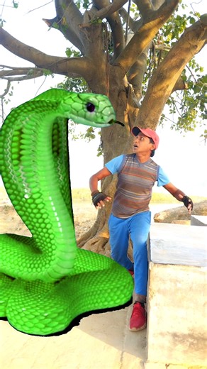 Anaconda snake in real life 27 #snake #anaconda #bigsnake